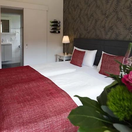 Restaurant Sonnenlay 3* Krov